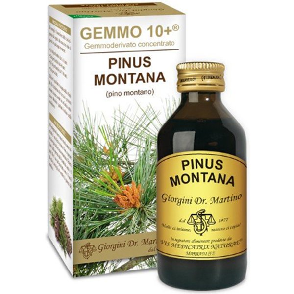 Pino Mont 100ML Analco GEM 10+-image