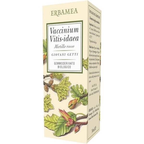 Vaccinium Vitis Idaea M R 50ML-image