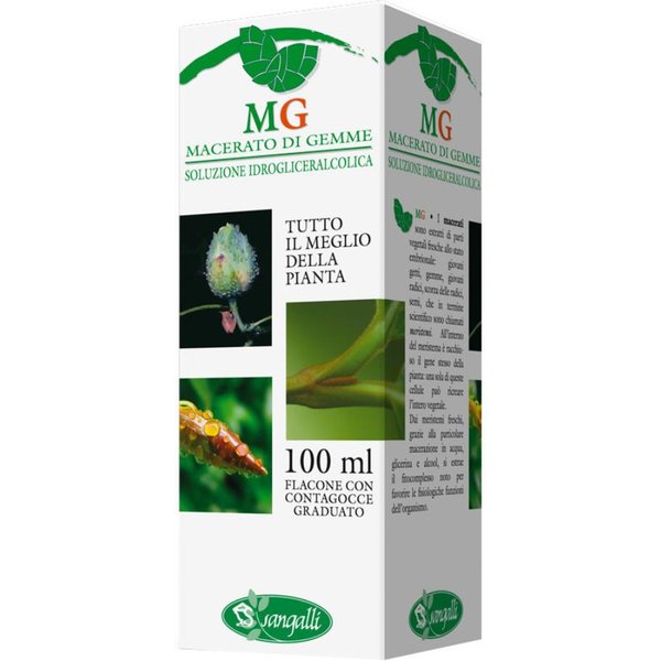 Noce 100ML MG-image