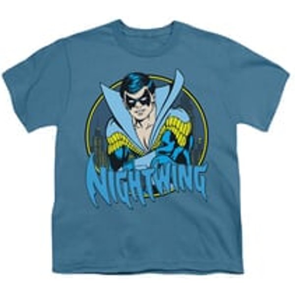 Nightwing DC Comics Shirt Nightwing 2 Kids Slate Youth Tee T-Shirt