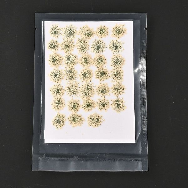 Gepresste Trockenblumen, für Handy, Fotorahmen, Scrapbooking DIY Handarbeit, beige, 15-20x13-19 mm, 100 Stück / Beutel
