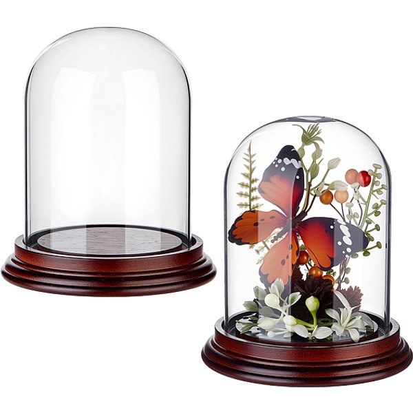 Couvercle De DôMe En Verre, Vitrine DéCorative, Terrarium En Forme De Cloche Avec Base En Bois De Santal, Clair, 116X133Mm-image
