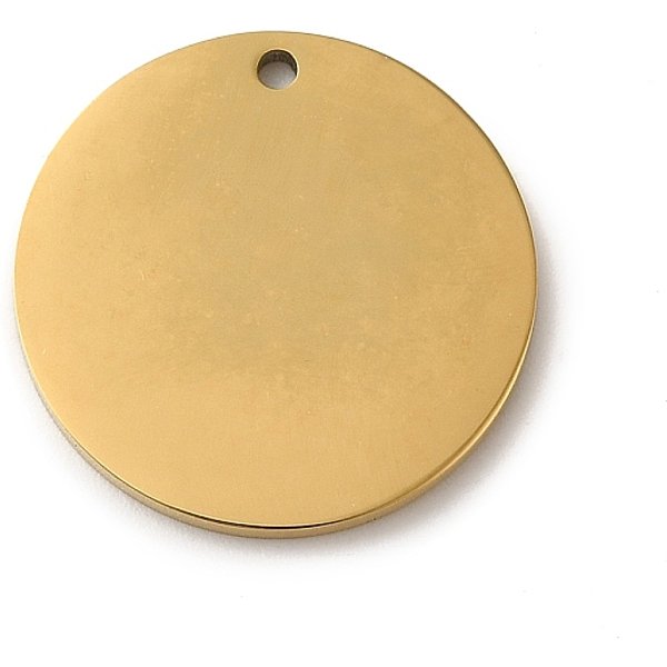 Ionenplattierung (Ip) 304 EdelstahlanhäNger, Leere Tag Stempeln, Flache Runde Charme, Golden, 25X1.5 Mm, Bohrung: 1.8 Mm-image