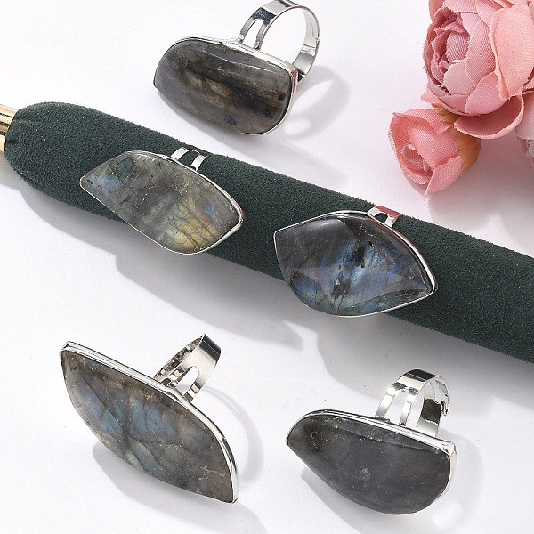 Bagues RéGlables En Labradorite Naturelle, Avec Les Accessoires En Laiton, Feuille, Taille 8, 18.5Mm-image