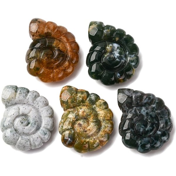 Natur Indien Achat Anhänger, oben gebohrter, beidseitig geschnitzter Nautilus, 29x25x9.5 mm, Bohrung: 1 mm