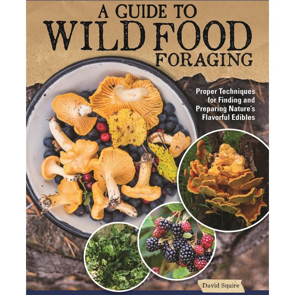 A Guide to Wild Food Foraging