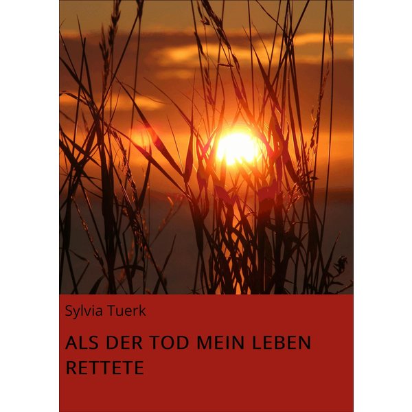 ALS DER TOD MEIN LEBEN RETTETE