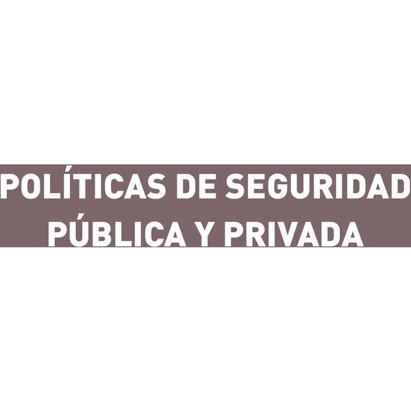 Políticas de seguridad pública y privada