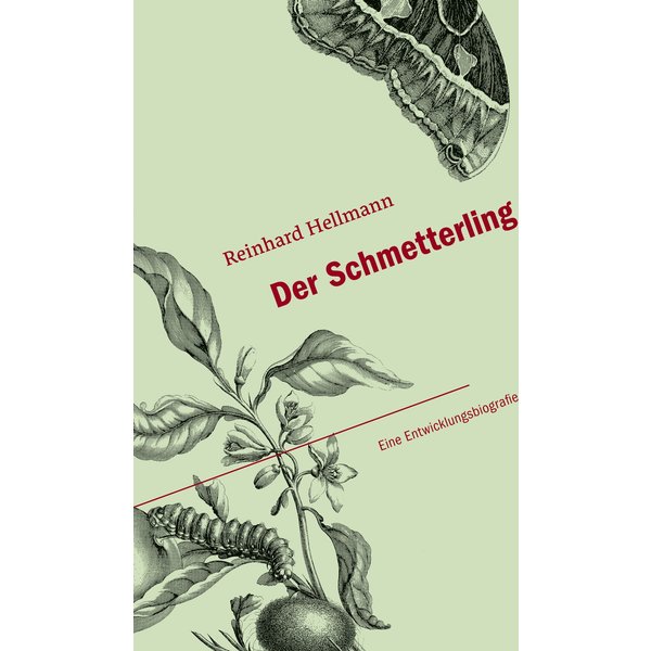 Der Schmetterling
