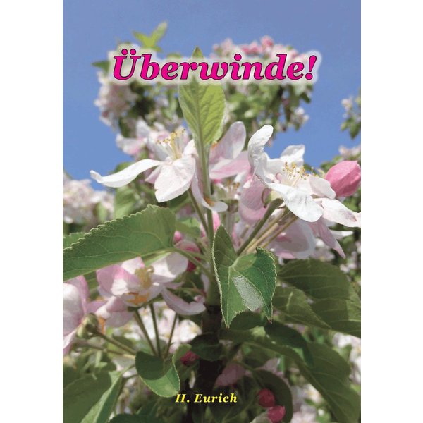 Überwinde