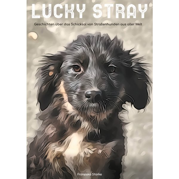Lucky stray
