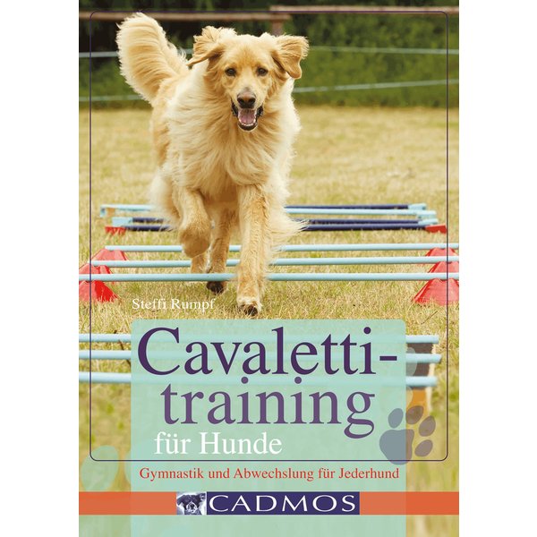 Cavalettitraining für Hunde