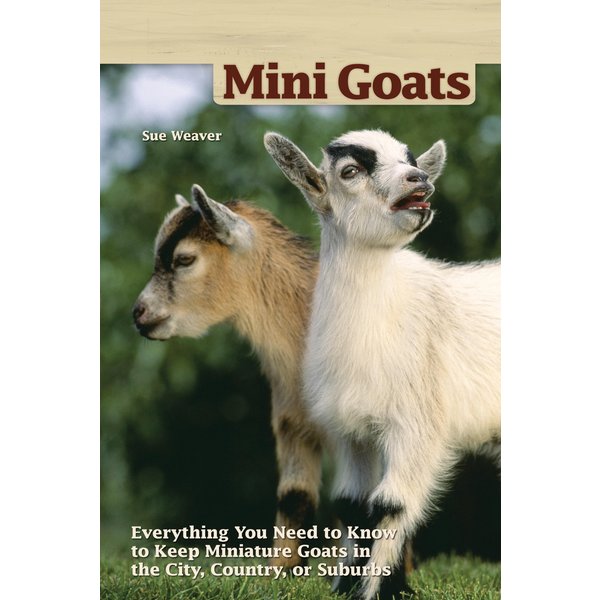 Mini Goats