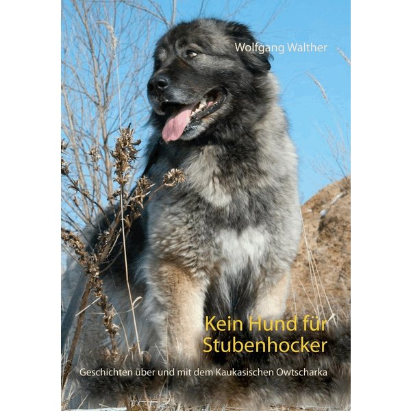 Kein Hund für Stubenhocker