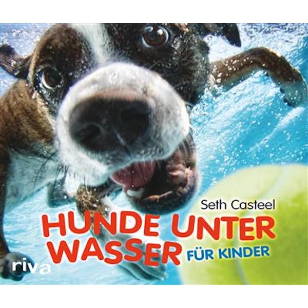 Hunde unter Wasser für Kinder