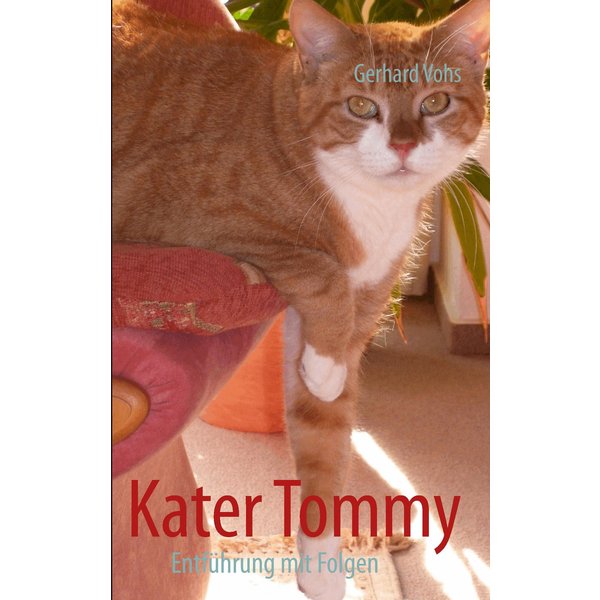 Kater Tommy