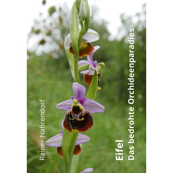 Eifel - Das bedrohte Orchideenparadies