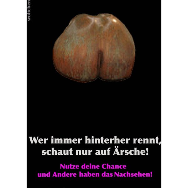 Wer immer hinterher rennt, schaut nur auf Ärsche!