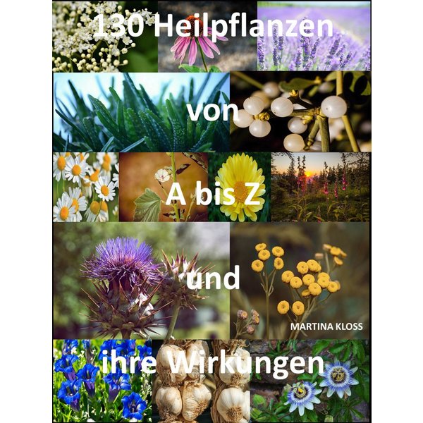 Was sind Heilpflanzen und ihre Wirkungen?