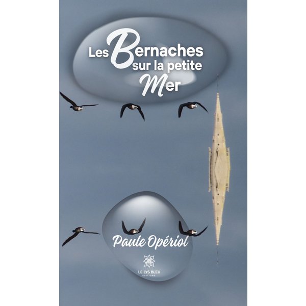 Les bernaches sur la petite mer