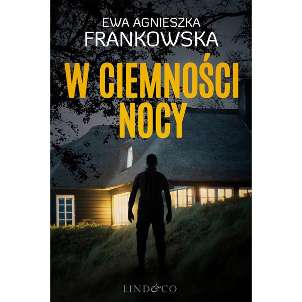 W ciemności nocy. Komisarz Feliks Frączak. Tom 1
