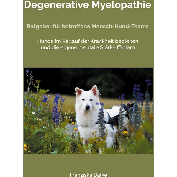 Degenerative Myelopathie