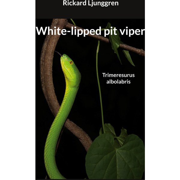 White-lipped pit viper