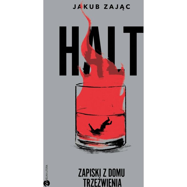 HALT. Zapiski z domu trzeźwienia