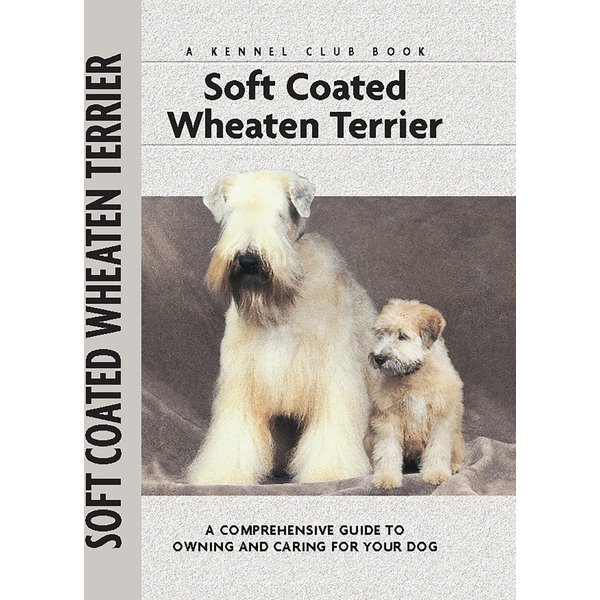 Soft Coat Wheaten Terrier