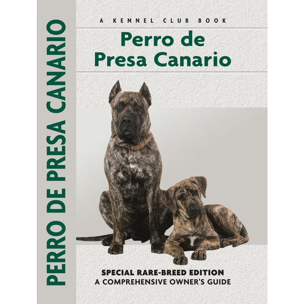 Perro De Presa Canario