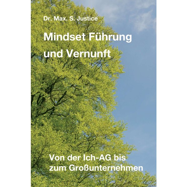Mindset Führung und Vernunft