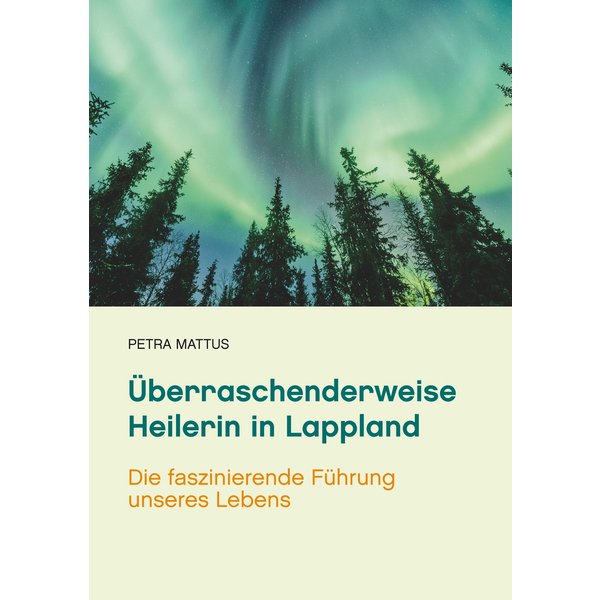 Überraschenderweise Heilerin in Lappland