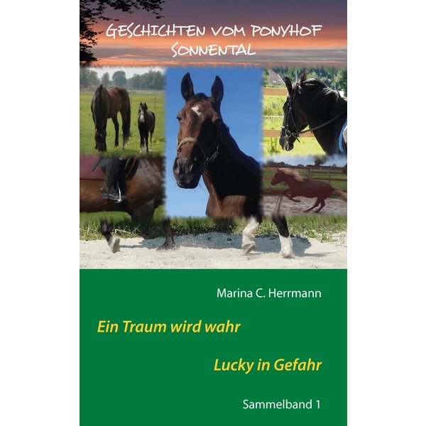 Geschichten vom Ponyhof Sonnental