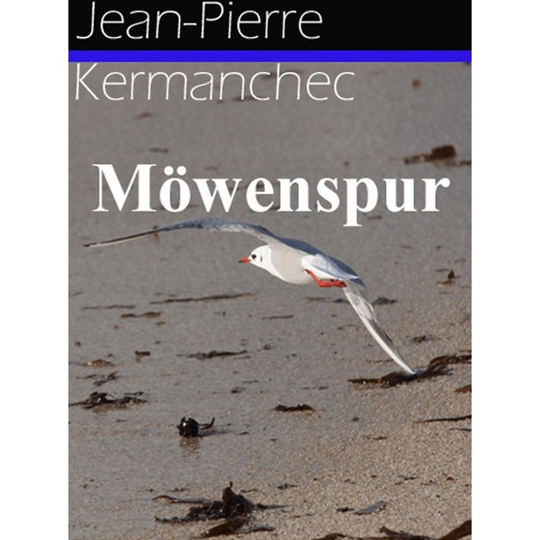 Möwenspur