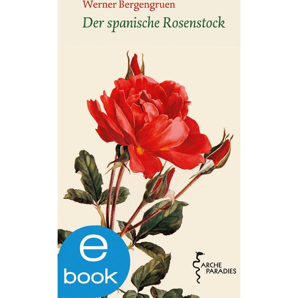 Der spanische Rosenstock