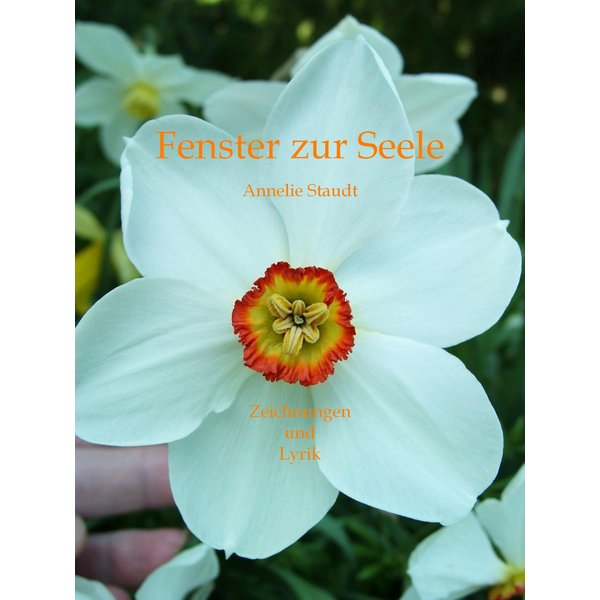Fenster zur Seele
