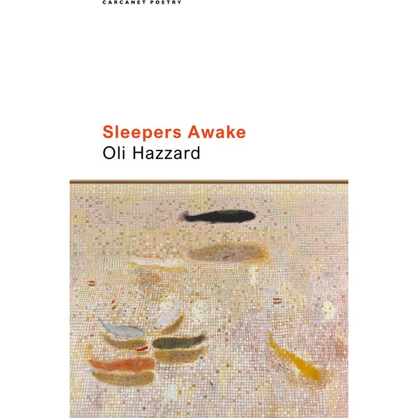 Sleepers Awake