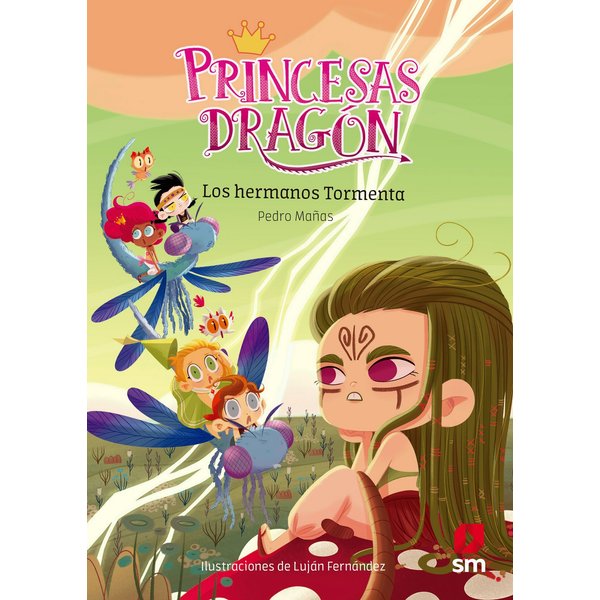 Princesas Dragón 5: Los hermanos Tormenta