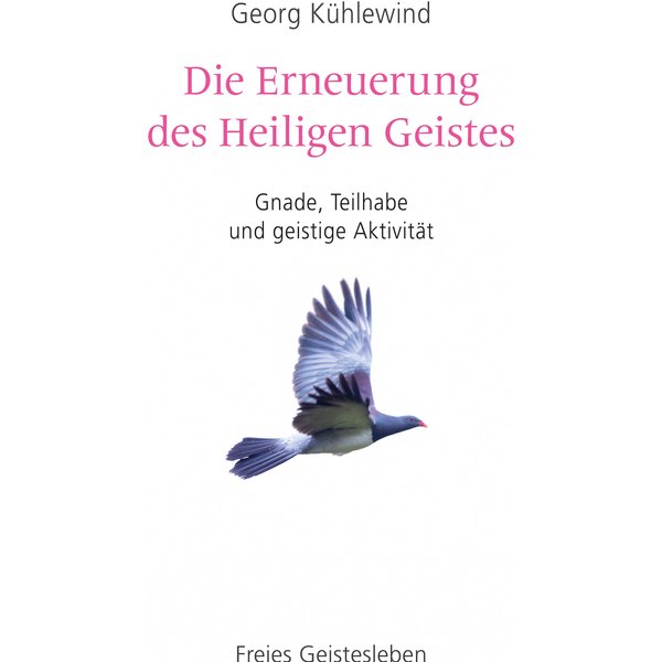 Die Erneuerung des Heiligen Geistes