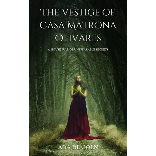 The vestige of Casa Matrona Olivares