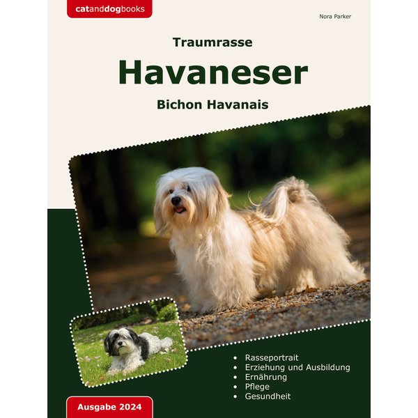 Traumrasse Havaneser
