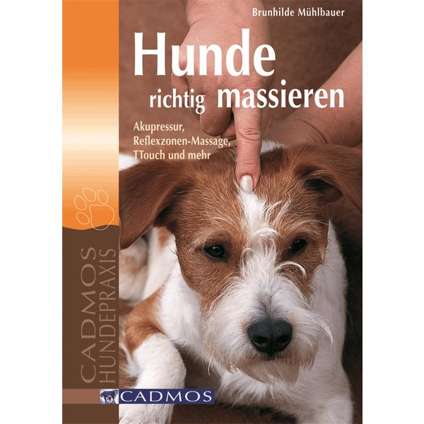 Hunde richtig massieren