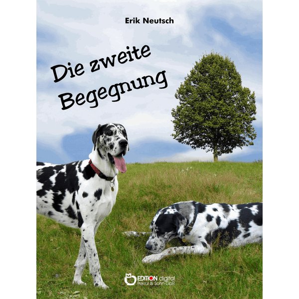 Die zweite Begegnung