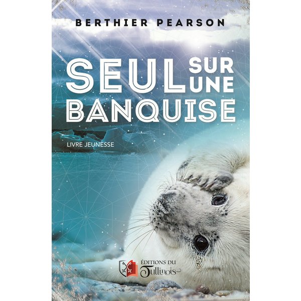 Seul sur une banquise