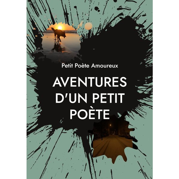 Aventures d'un Petit Poète