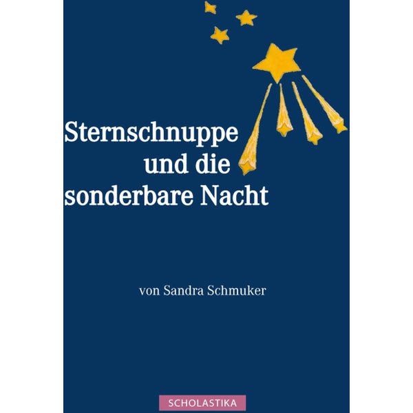 Sternschnuppe und die sonderbare Nacht