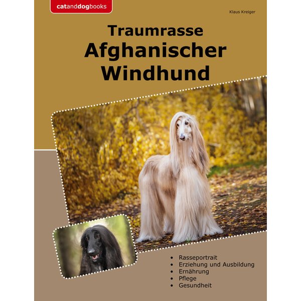 Traumrasse Afghanischer Windhund