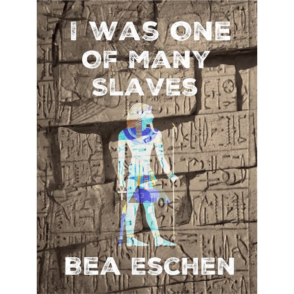 I Was One Of Many Slaves
