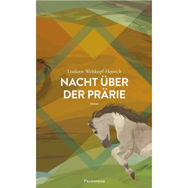 Nacht über der Prärie