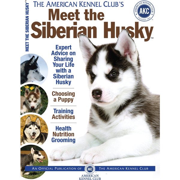 Meet the Siberian Husky